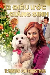 12 Điều Ước Giáng Sinh | 12 Điều Ước Giáng Sinh (2011)