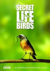 Bí ẩn cuộc sống loài chim | Bí ẩn cuộc sống loài chim (2012)