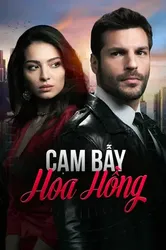 Cạm Bẫy Hoa Hồng | Cạm Bẫy Hoa Hồng (2020)