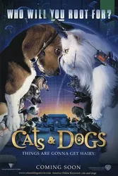 Đại Chiến Chó Mèo 1 | Đại Chiến Chó Mèo 1 (2001)