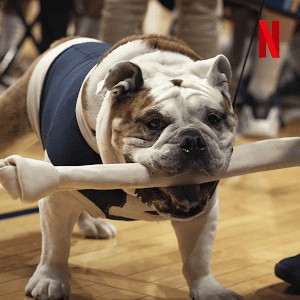 Những chú chó (Phần 2) | Dogs (Season 2)  (2021)