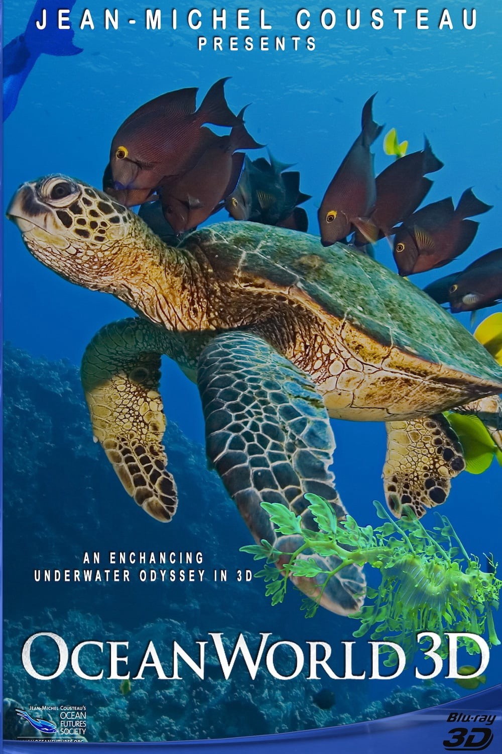 OceanWorld 3D | OceanWorld 3D (2009)