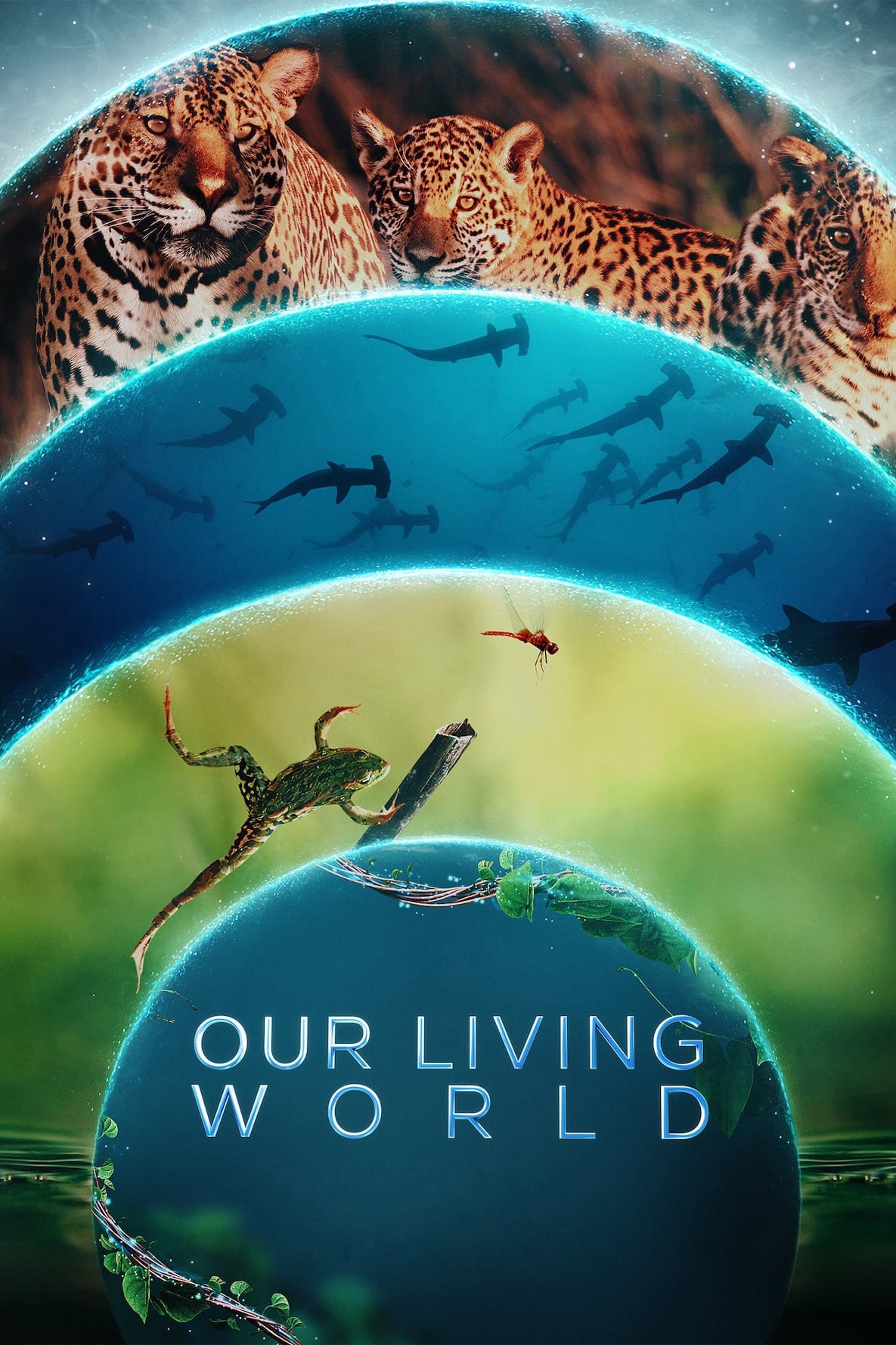 Thế giới sống của chúng ta | Our Living World (2024)